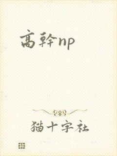 高干np