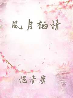 风月栖情