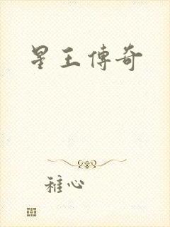 星王传奇