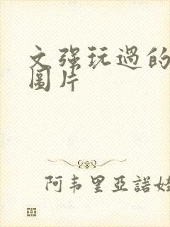 文强玩过的女人图片