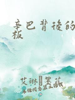 辛巴背后的人老板