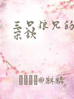 三只狼兄的宠妻宋钦