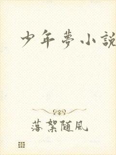 少年梦小说