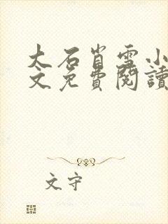 大石肖雪小说全文免费阅读