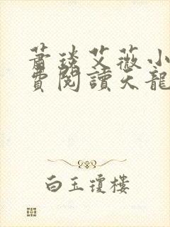 萧琰艾薇小说免费阅读天龙殿