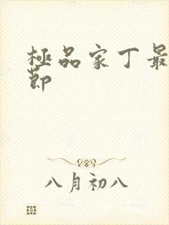 极品家丁最新章节