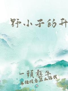 野小子的升官路