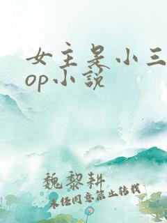 女主是小三的pop小说