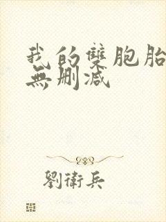 我的双胞胎老婆无删减