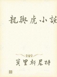 龙与虎小说
