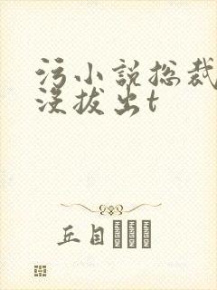 污小说总裁整夜没拔出t