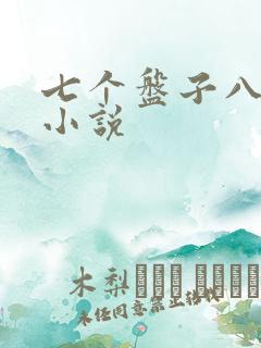 七个盘子八个碗小说
