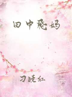 田中飞妈