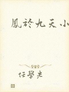 凤于九天小说