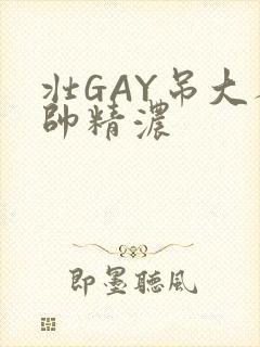 壮GAY吊大人帅精浓