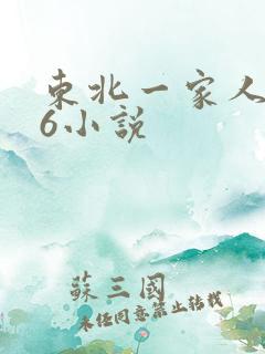 东北一家人1一6小说