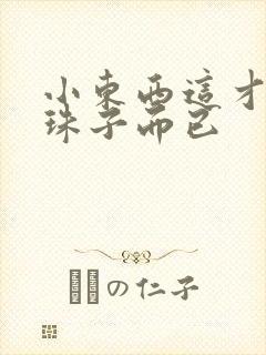 小东西这才一颗珠子而已