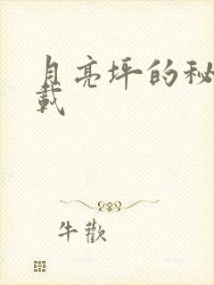 月亮坪的秘密下载