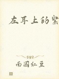 左耳上的紫水晶