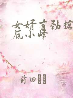 女婿有劲枪枪到底小峰