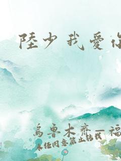 陆少 我爱你