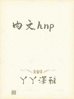 肉文hnp