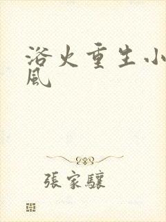 浴火重生小说陈风