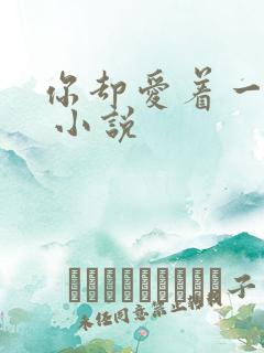 你却爱着一个他 小说