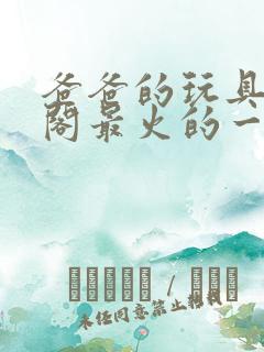 爸爸的玩具笔趣阁最火的一句