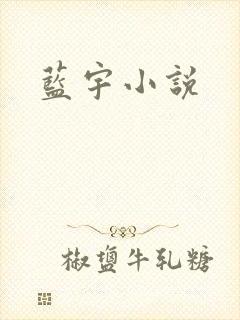 蓝宇小说