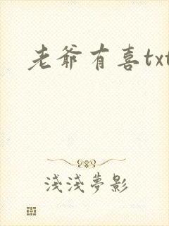 老爷有喜txt