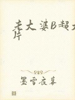 老大婆B超大图片