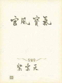 官风宝气