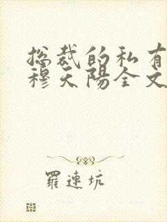 总裁的私有宝贝穆天阳全文阅读