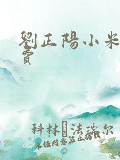 刘正阳小米多免费