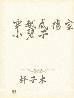 穿越成杨家将最小儿子