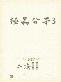 极品公子3