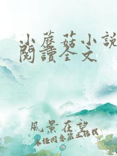 小蘑菇小说免费阅读全文