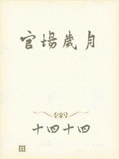 官场岁月