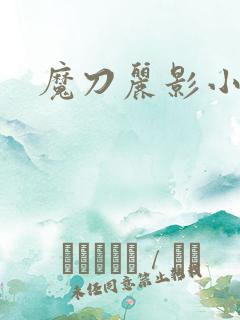 魔刀丽影小说