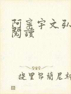 阿宁宇文弘免费阅读