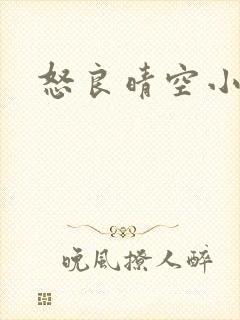 怒良晴空小说