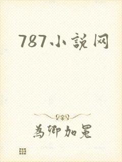 787小说网