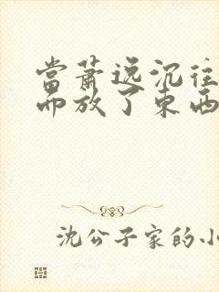 当萧逸沉往你里面放了东西小玩具