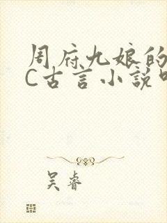 周府九娘的NPC古言小说叫什么