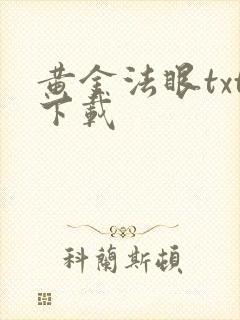 黄金法眼txt下载