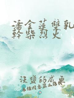 潘金莲双乳晃动干柴烈火