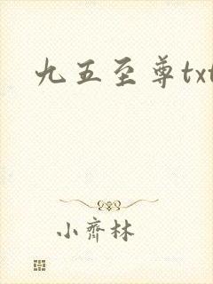 九五至尊txt