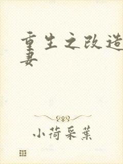 重生之改造糟糠妻