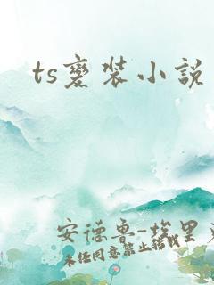 ts变装小说